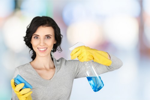 Professional cleaner maintaining a tidy living space in Earlscourt