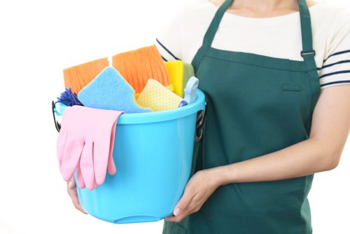 Regular cleaning service for an Earlscourt home interior