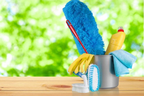 Professional oven cleaning in an Earlscourt kitchen