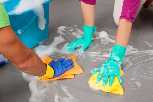 Professional mattress cleaning for homes in Earlscourt
