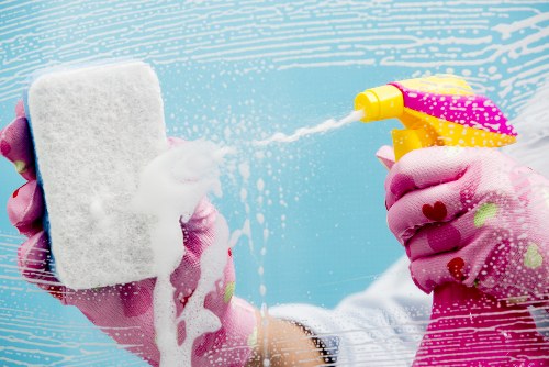 Written details prepared for a cleaner complaints procedure assessment
