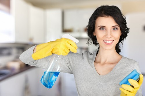 Oven cleaning service for homes and businesses in Earlscourt