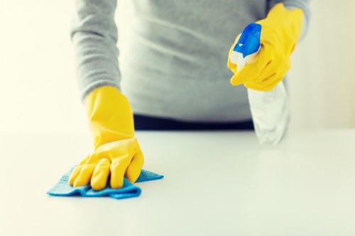 Detail cleaning of surfaces and fixtures after construction work in Earlscourt