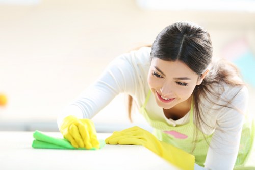Local upholstery cleaning for dining chairs and fabric seating in Earlscourt