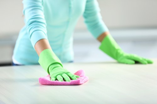 Detailed cleaning of cupboards and shelves in an Earlscourt property