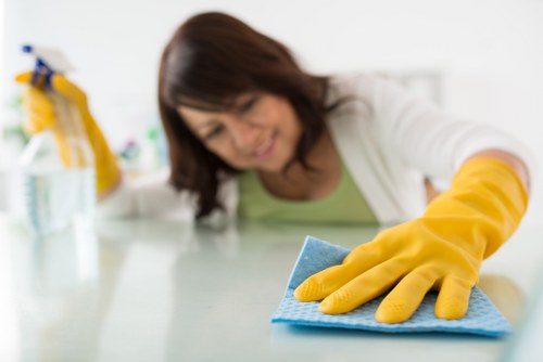 Professional deep cleaning for Earlscourt commercial spaces