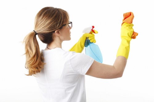 Cleaning stained brickwork and exterior walls in Earlscourt