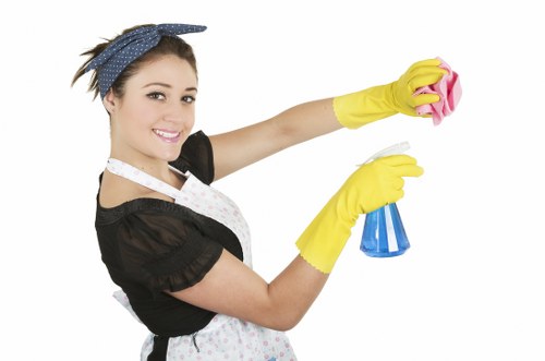 SSL encryption securing Earlscourt Cleaner online payments