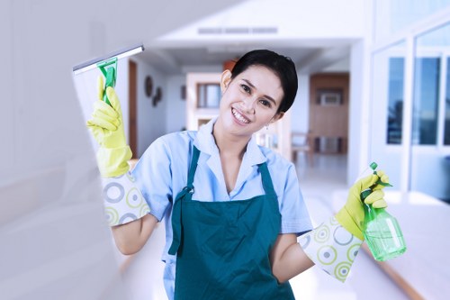 Bathroom deep cleaning in an Earlscourt property