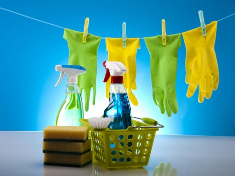 Professional carpet steam cleaning equipment in Earlscourt