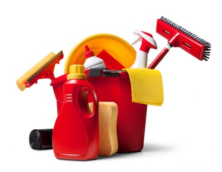 Cleaner reviewing appointment requirements before work begins
